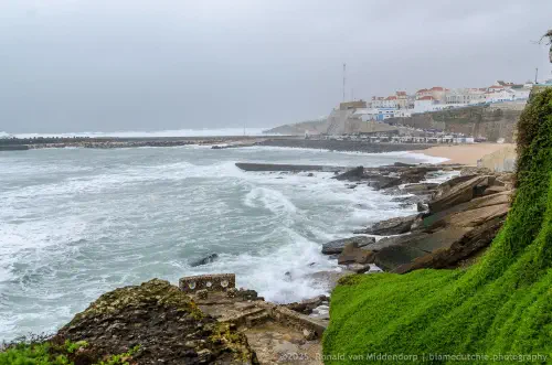 Stephanie approaching
