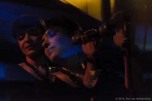 Nova União das Artes | Pedro e Os Lobos