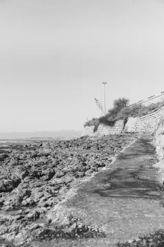 /uploads/2015/01/coastalstudybw/BlameDutchie-CoastalStudy-BW-01.jpg.webp