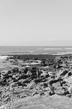 /uploads/2015/01/coastalstudybw/BlameDutchie-CoastalStudy-BW-02.jpg.webp