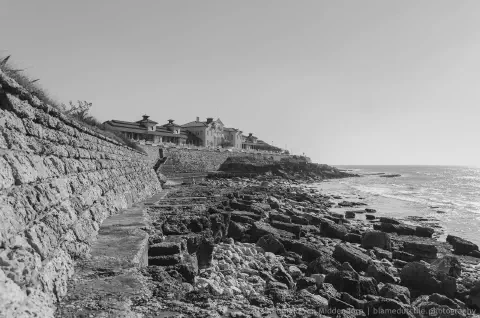 /uploads/2015/01/coastalstudybw/BlameDutchie-CoastalStudy-BW-04.jpg.webp