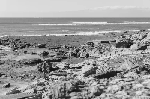 /uploads/2015/01/coastalstudybw/BlameDutchie-CoastalStudy-BW-05.jpg.webp