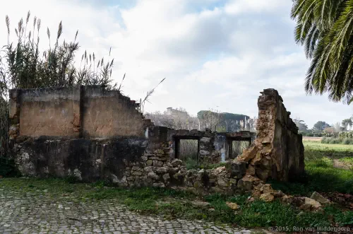 Morning Walk in Murtal