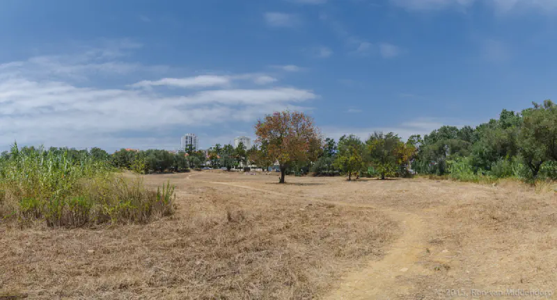 photo: stitched panorama