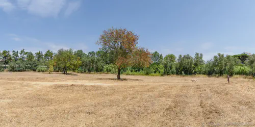 /uploads/2015/08/blueskyhunting/Panorama-02.jpg.webp