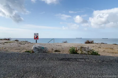 Coastal Study in Blue