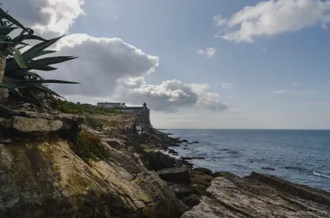 /uploads/2015/08/coastalstudyinblue/BlameDutchie-Coastal-Study-in-Blue-11.jpg.webp