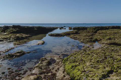 /uploads/2015/08/coastalstudyinblue/BlameDutchie-Coastal-Study-in-Blue-15.jpg.webp
