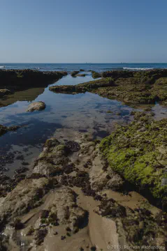 /uploads/2015/08/coastalstudyinblue/BlameDutchie-Coastal-Study-in-Blue-16.jpg.webp