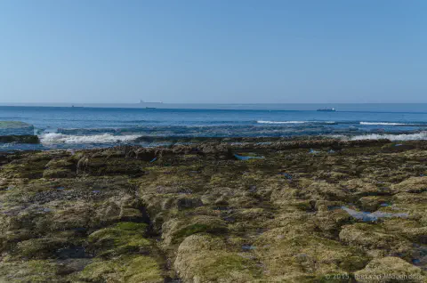 /uploads/2015/08/coastalstudyinblue/BlameDutchie-Coastal-Study-in-Blue-19.jpg.webp