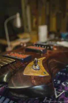 /uploads/2015/09/ergonguitars/ErgonGuitars-10.jpg.webp
