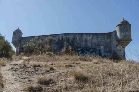 /uploads/2015/09/justrot/Just-let-it-rot-00009.jpg.webp
