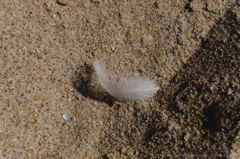 /uploads/2016/09/hotdayguincho/20160924-BlameDutchie-NunoLeal-Guincho-008.jpg.webp