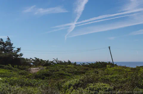 /uploads/2016/09/hotdayguincho/20160924-BlameDutchie-NunoLeal-Guincho-016.jpg.webp