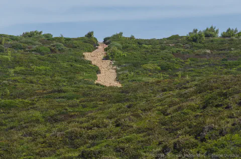 /uploads/2016/09/hotdayguincho/20160924-BlameDutchie-NunoLeal-Guincho-021.jpg.webp