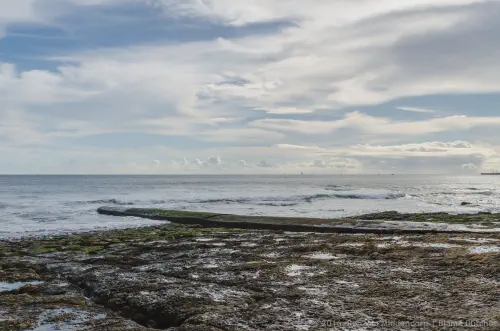 /uploads/2016/10/coastline/20161013-BlameDutchie-Coastline-03.jpg.webp