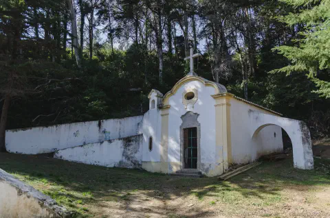 /uploads/2016/11/quintadopisao/20161030-BlameDutchie-Quinta-do-Pisao-03.jpg.webp