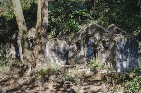 /uploads/2016/11/quintadopisao/20161030-BlameDutchie-Quinta-do-Pisao-16.jpg.webp