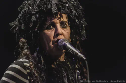 /uploads/2017/02/lenelovich/20170208-BlameDutchie-Lene-Lovich-Band-Amadora-13.jpg.webp
