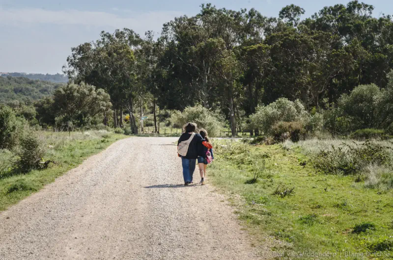 photo: walking people seen from behind