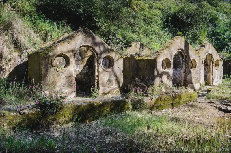 photo: ruins @ Quinta do Pisão