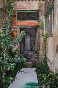 /uploads/2018/08/decay1/20180818-BlameDutchie-Decay-02.jpg.webp