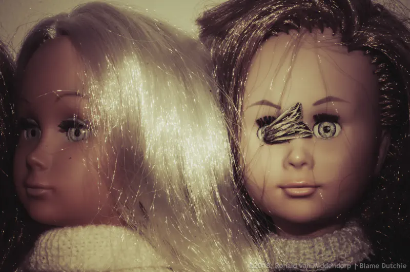Dolls with moth