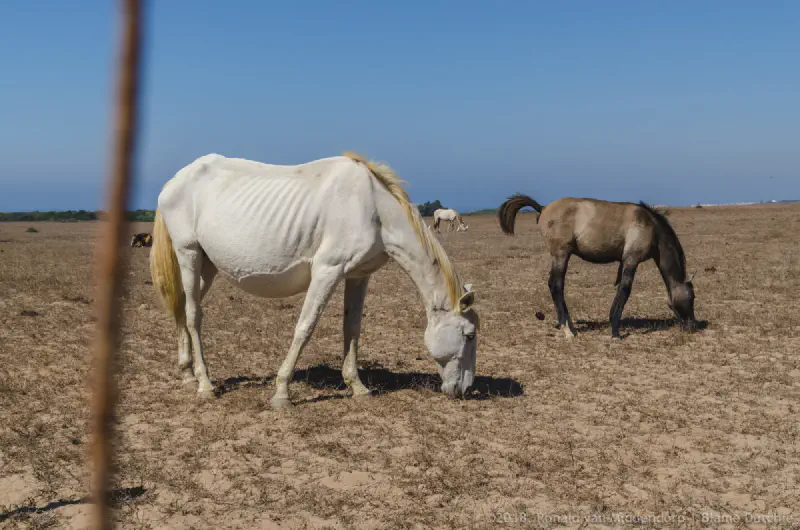 Intimidation In The First Degree 01