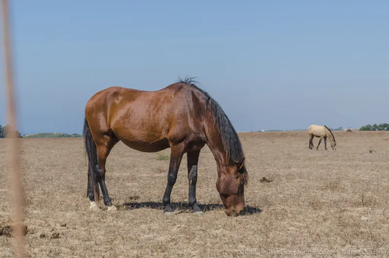 Intimidation In The First Degree 05