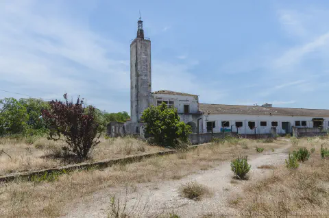 /uploads/2024/06/alcochete/20190524-BlameDutchie-Alcochete-13.jpg.webp