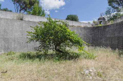 /uploads/2024/06/fortevelho/20190613-BlameDutchie-Forte-Velho-00008.jpg.webp
