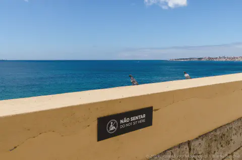 /uploads/2024/06/fortevelho/20190613-BlameDutchie-Forte-Velho-00037.jpg.webp