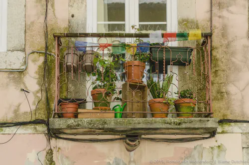 /uploads/2024/06/wereback/201905-BlameDutchie-Lisboa-00008.jpg.webp