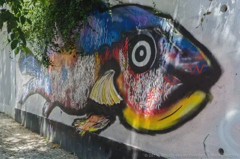 /uploads/2024/06/wereback/201905-BlameDutchie-Lisboa-00011.jpg.webp
