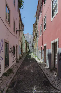 /uploads/2024/06/wereback/201905-BlameDutchie-Lisboa-00015.jpg.webp