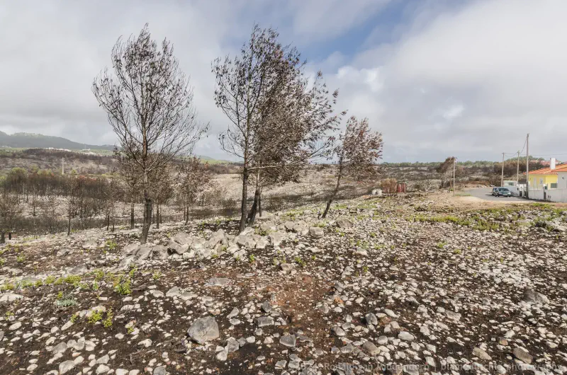 photo: rural after wildfires