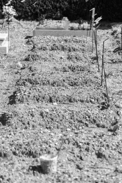 /uploads/2026/04/cem01/20110726-Cemiterio-Viseu-00002.jpg.webp