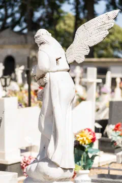 /uploads/2026/04/cem01/20110726-Cemiterio-Viseu-00005.jpg.webp