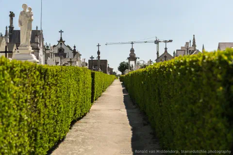 /uploads/2026/04/cem02/20110726-Cemiterio-Viseu-00012.jpg.webp