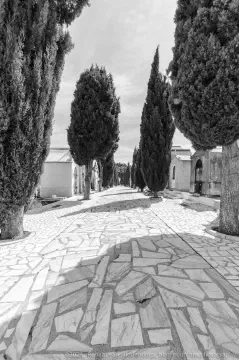 /uploads/2026/04/cem03/20240526-Cemitério-de-São-Gregório-02.jpg.webp