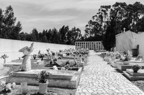 /uploads/2026/04/cem03/20240526-Cemitério-de-São-Gregório-09.jpg.webp