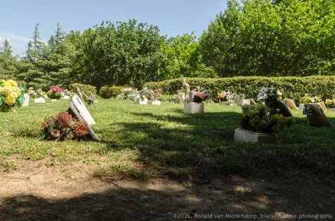 /uploads/2026/04/cem06/20260417-Cemitério-de-Trajouce-02.jpg.webp